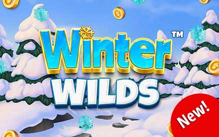 Online Games to Play Through Winter