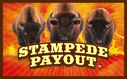 STAMPEDE PAYOUT  scratch-off ticket