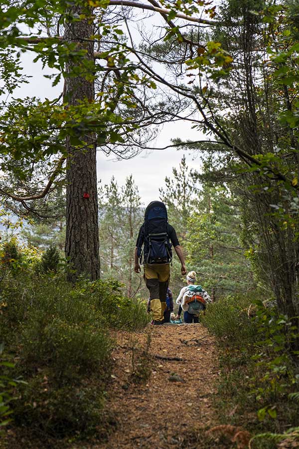 Person på tur i skogen