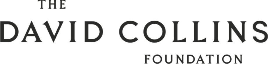 The David Collins Foundation