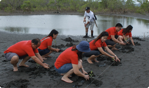 Planting Image 3