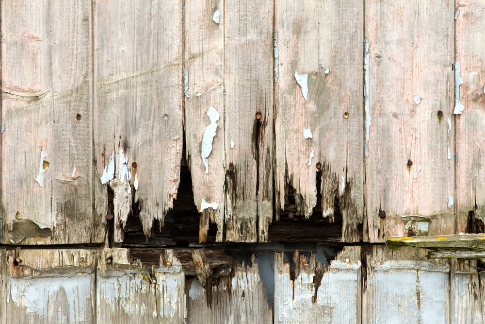 What Areas of the House Are Most Prone to Dry Rot: Key Spots to Watch