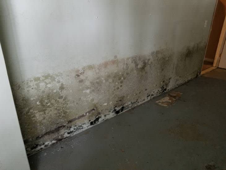 How to Tell If a Drywall Is Water Damaged