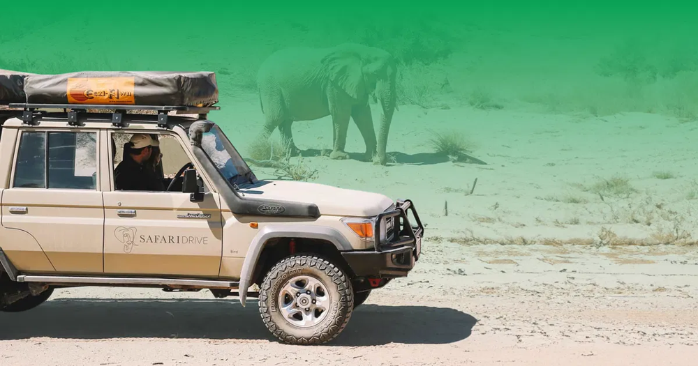 The Complete Guide to Fleet Management Technology for Tourism Operators