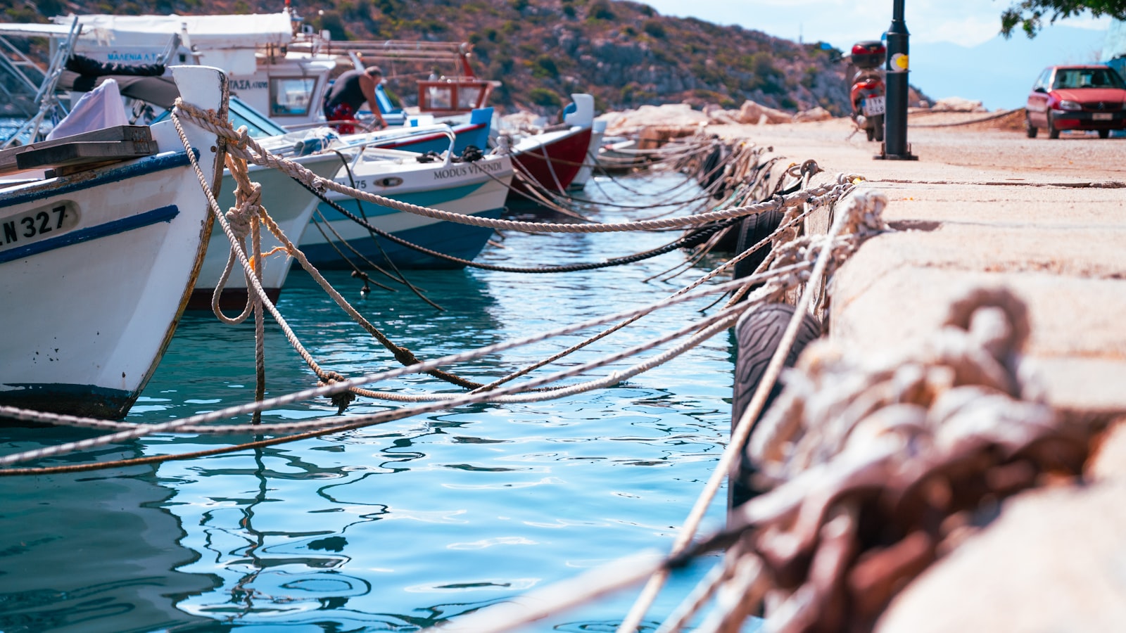 Multi-Skipper Revenue Attribution for Co-Op Fleets