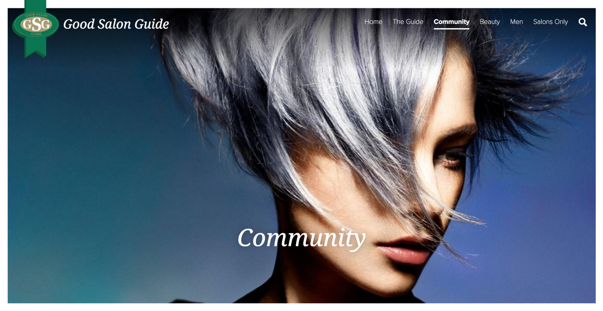Good-Salon-Guide-Website-Project Community-page Paddy-Hamilton-web-developer