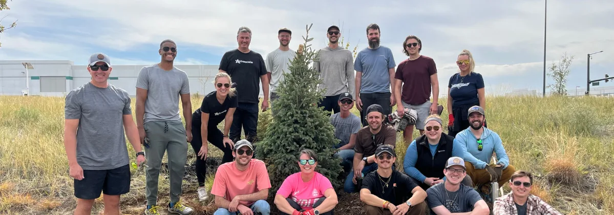 Tree Planting Team