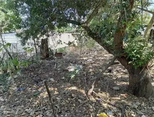 Aldea El Porvenir