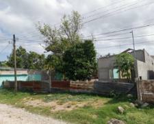 imagen de undefined 1