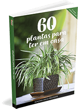 60 Plantas para ter em casa