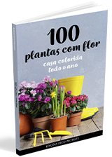 100 Plantas com Flor
