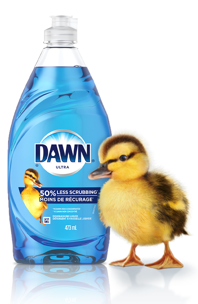 Dish Soap & Dishwashing Liquids | Dawn Dish Soap