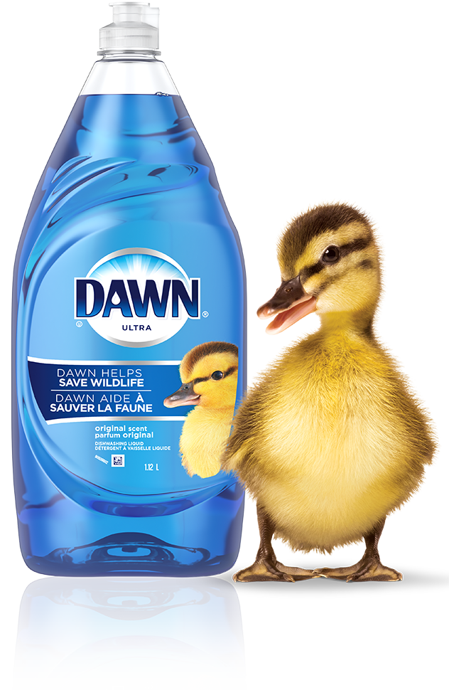 Dish Soap & Dishwashing Liquids | Dawn Dish Soap