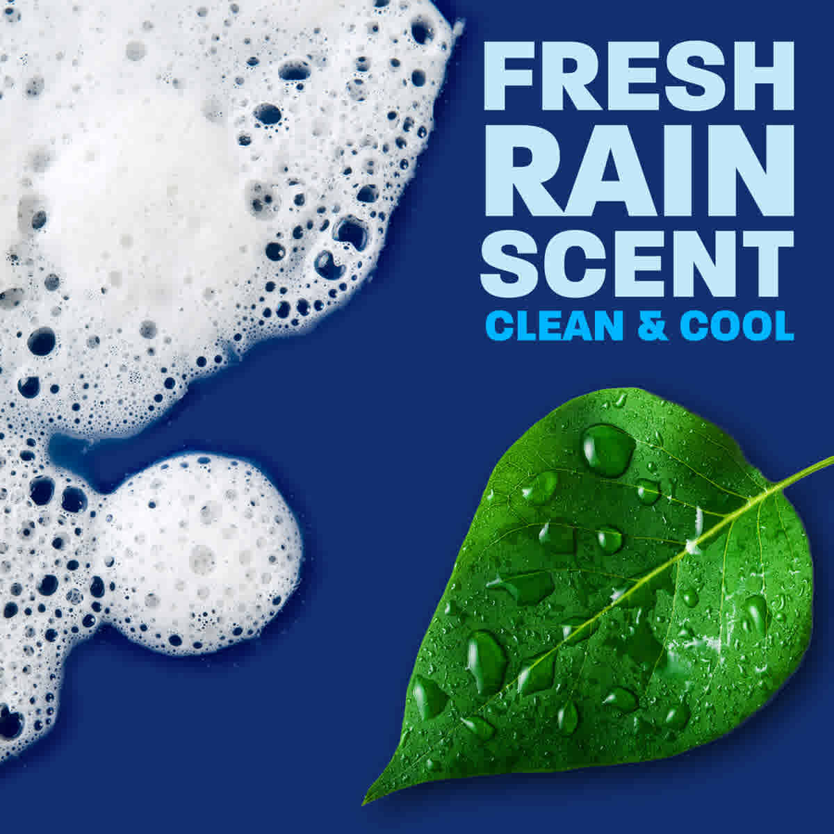 fresh rain scent cool