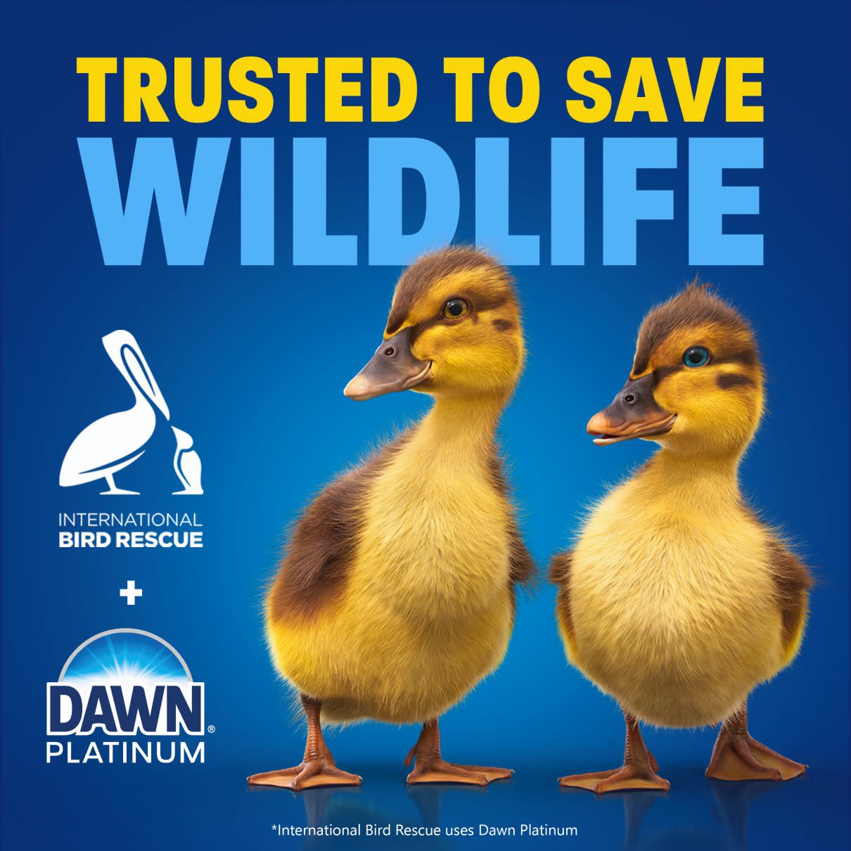 Trust to save wildlife