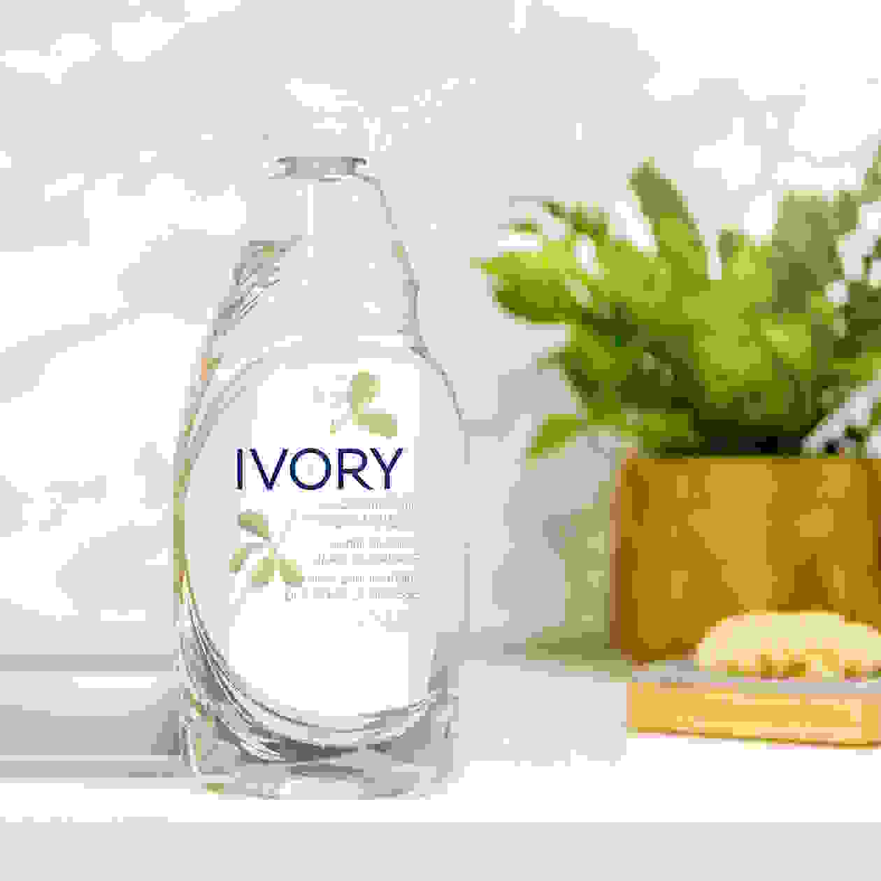 Ivory_01_3