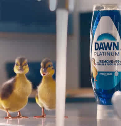 Two little ducks near the Dawn Platinum EZ-Squeeze