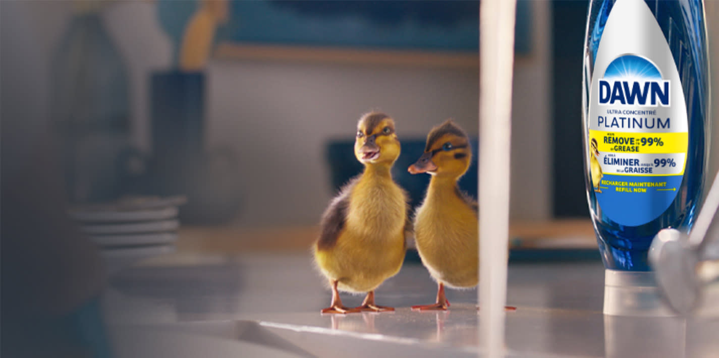 Two little ducks on the table, below Dawn Platinum EZ-Squeeze