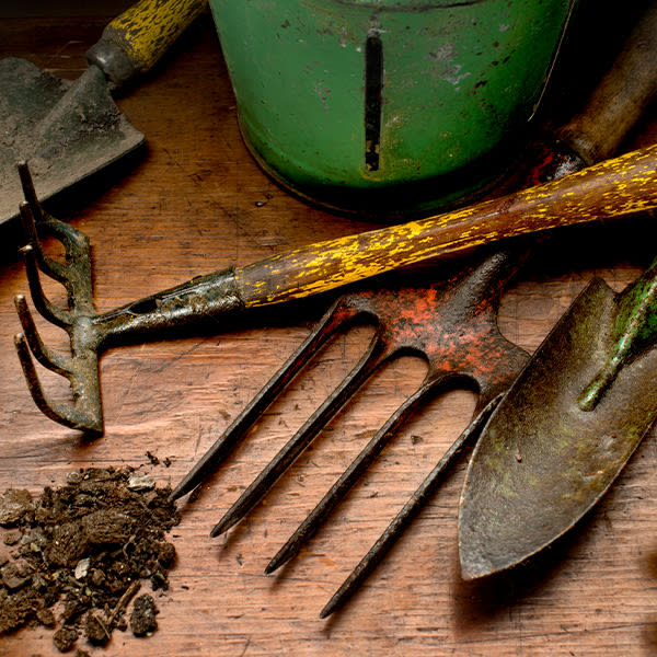 Using Dawn as a Hand Tool Cleaner