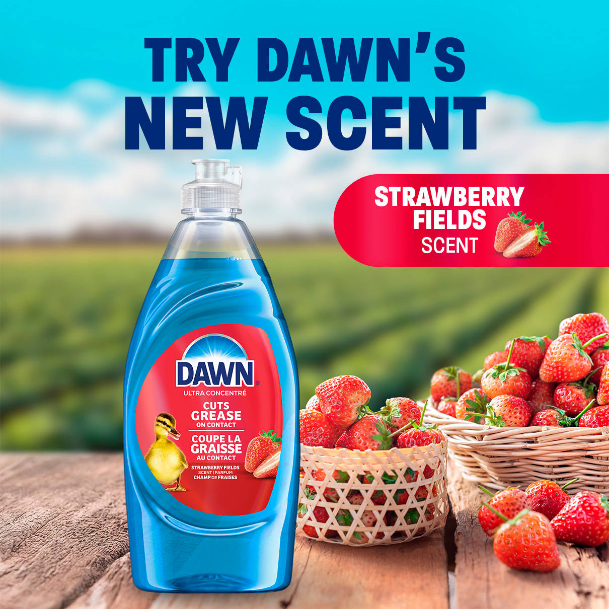 Try Dawn's new scent - strawberry fields scent