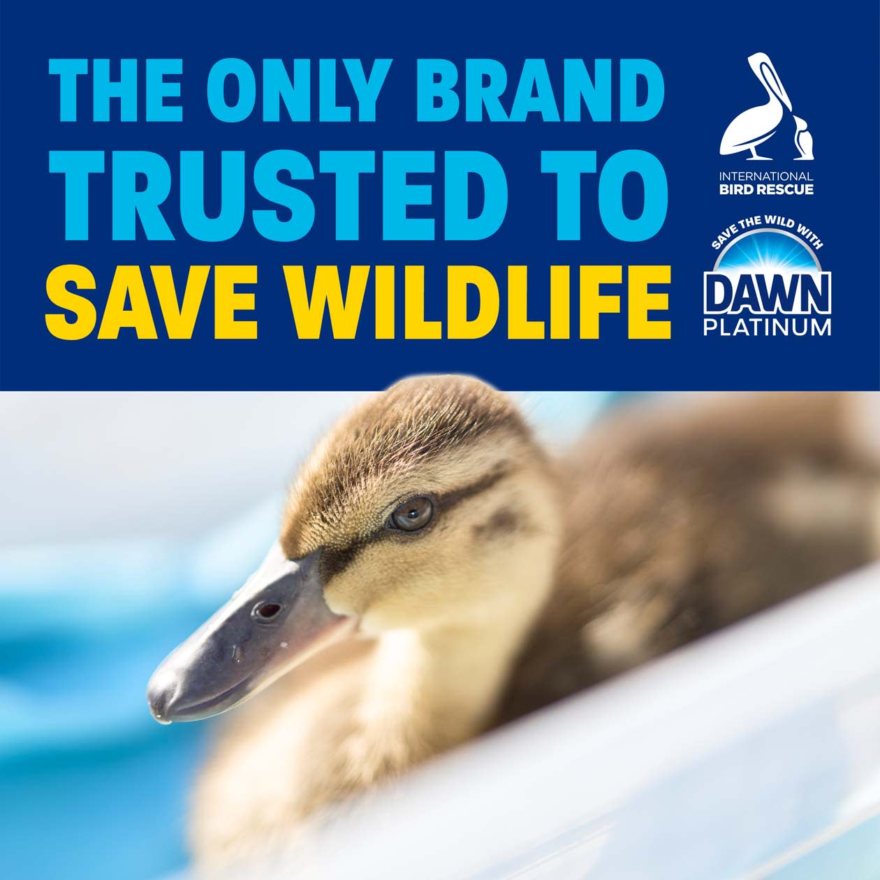 the only brand trusted to save wildlife