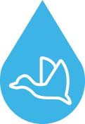 Flying Bird icon on blue drop
