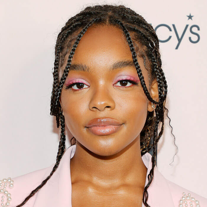 14 Epic Ways to Style Your Box Braids