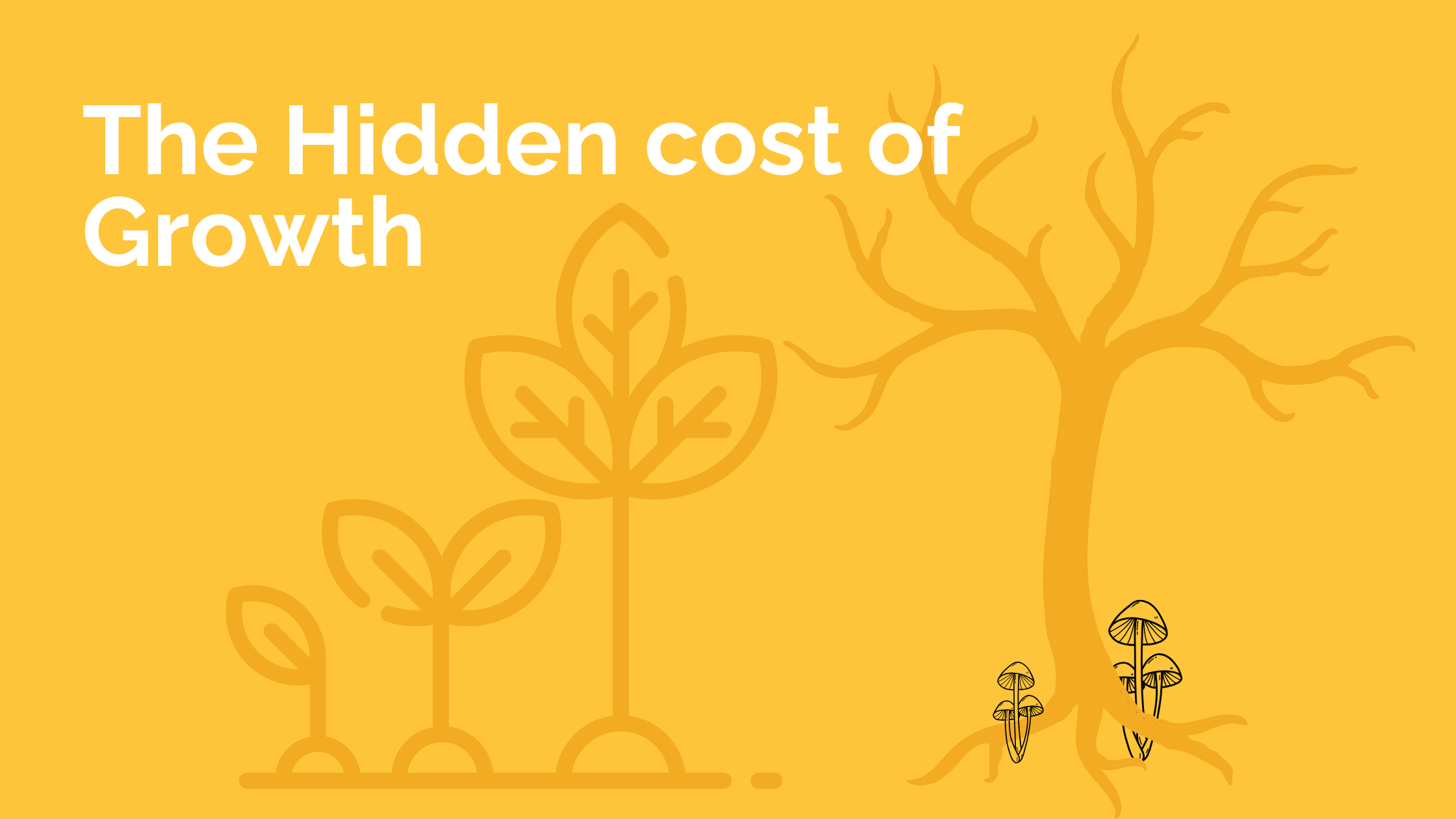 The Hidden cost of Growth