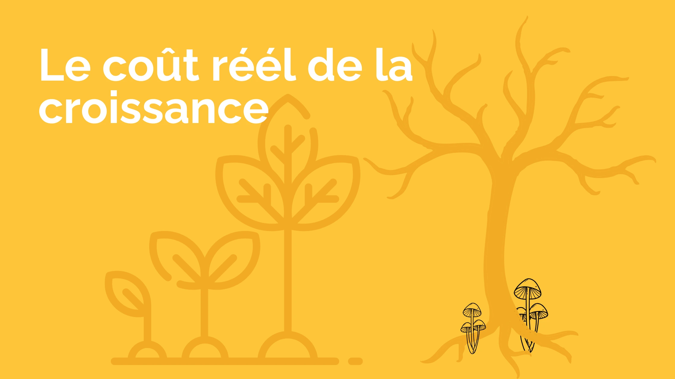 Le coût réel de la croissance