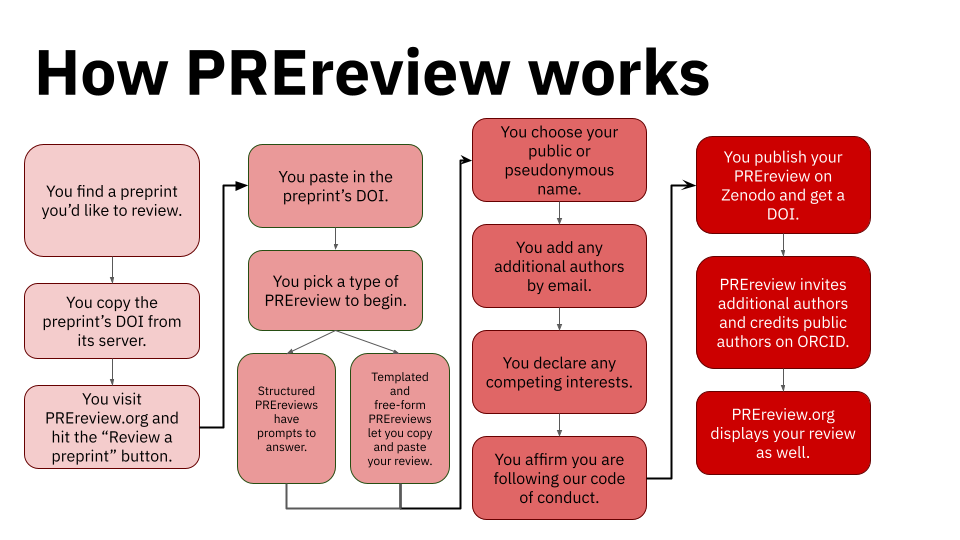 This flowchart illustrates how a PREreview is made beginning with finding a preprint and its DOI, copy and pasting that DOI into the “Review a preprint” workflow on PREreview.org, and then completing and publishing the PREreview.