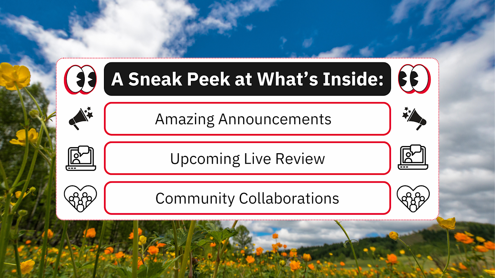 A white rectangle, against a background of flowers and a cloudy sky. Inside, it lists what is included in the newsletter.