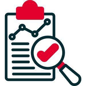 Image of a magnifying glass with a red tick inside it, looking over a dataset in an academic paper.