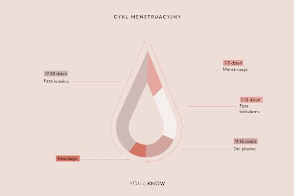 Cykl menstruacyjny poprawiony ilu
