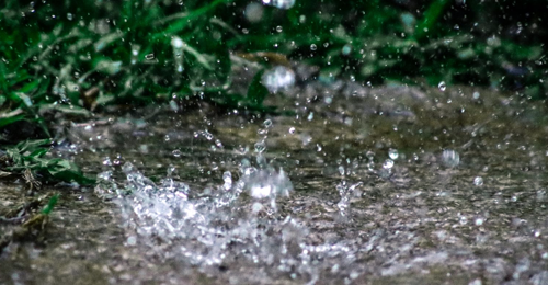 raindrop falling in puddle