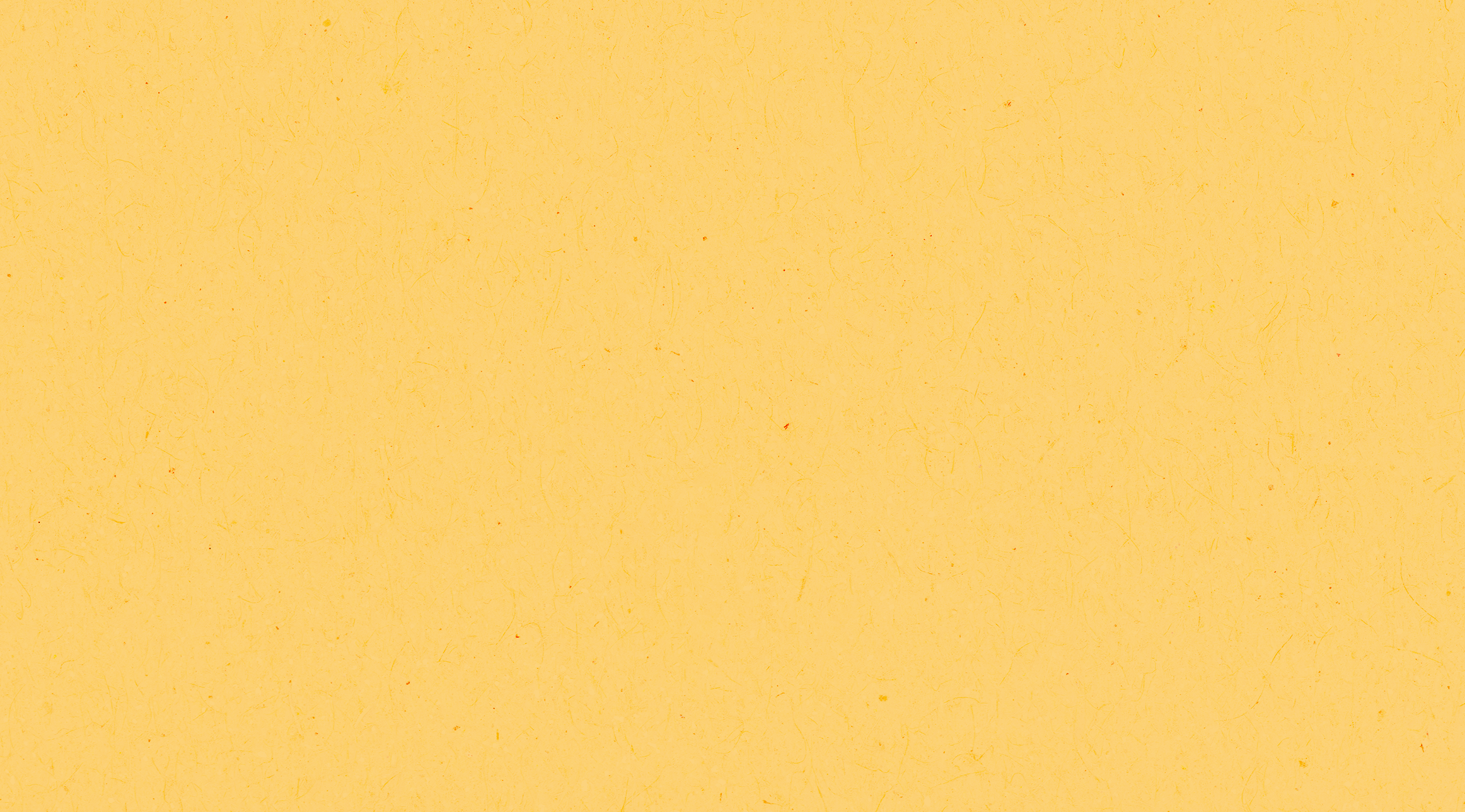 organic chicken jerky