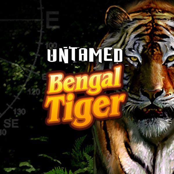 Bengal Bengal