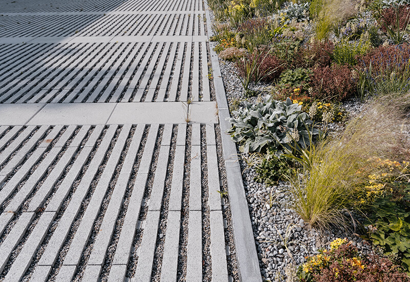 Rasenliner Pflastersteine für einen Parkplatz