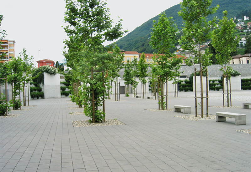 Les pavés et les arbres confèrent à cet espace un aspect très agréable.