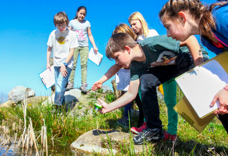 Faszination Kiesgrube