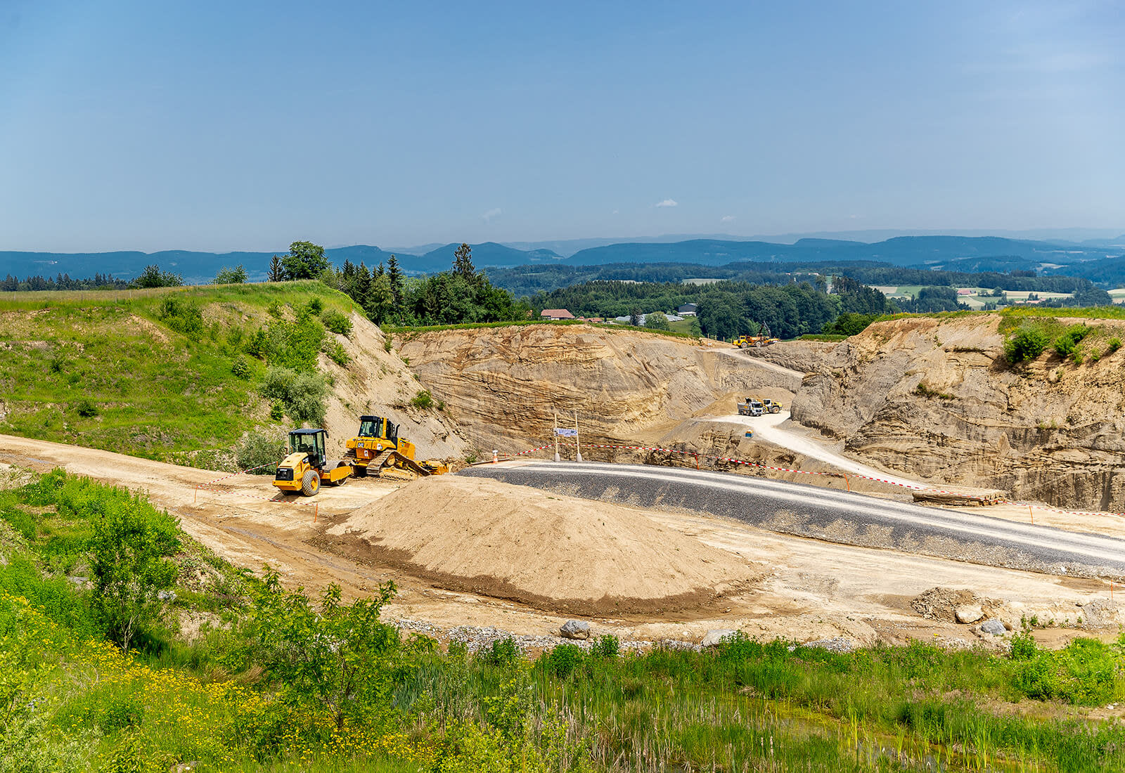 Flora und Fauna in der Kiesgrube