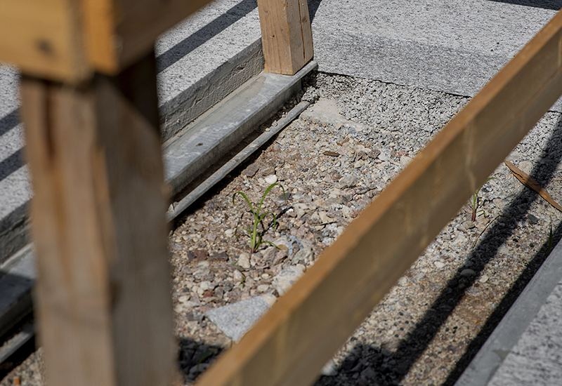 Baumgrube Europaallee