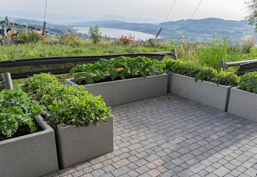 FRIEDA®-Wildpflastersteine für das Restaurant Eichberg