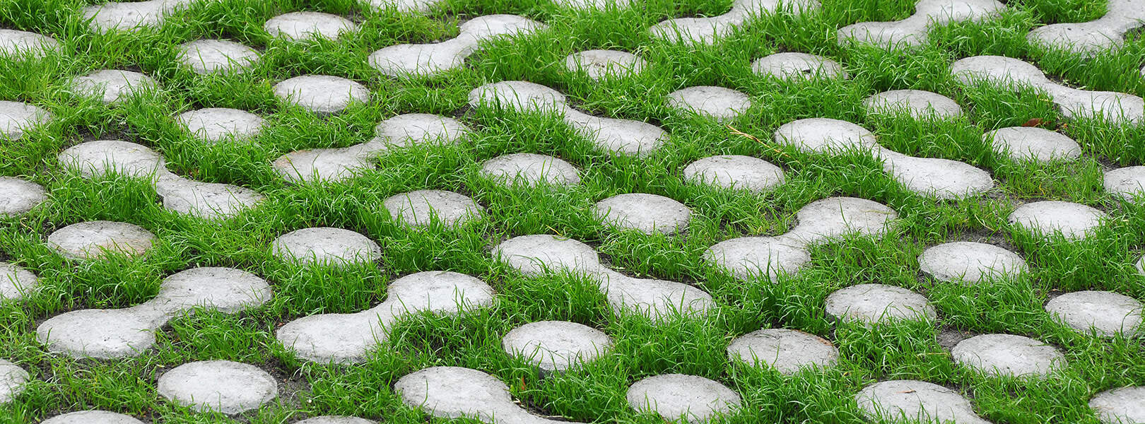251028 | CBS Magazin Schwammstadt: Wasserdurchlässige Beläge