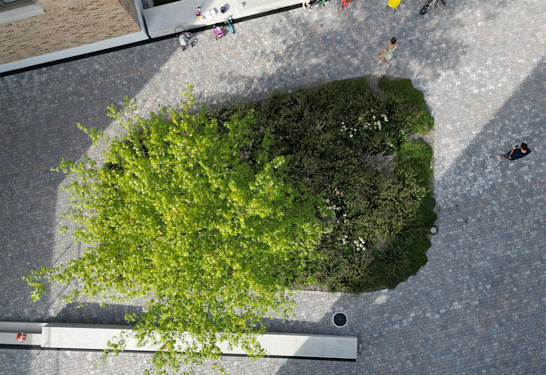 Der Platz aus der Vogelperspektive