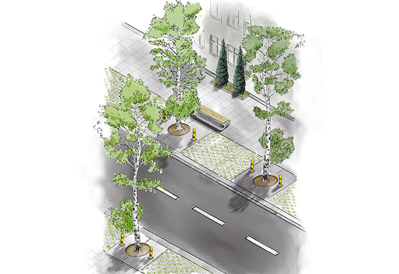 Visualisierung Schwammstadt Strassenbereich