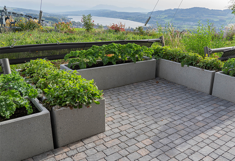 FRIEDA<sup>®</sup>-Wildpflastersteine für das Cabrio-Restaurant Eichberg