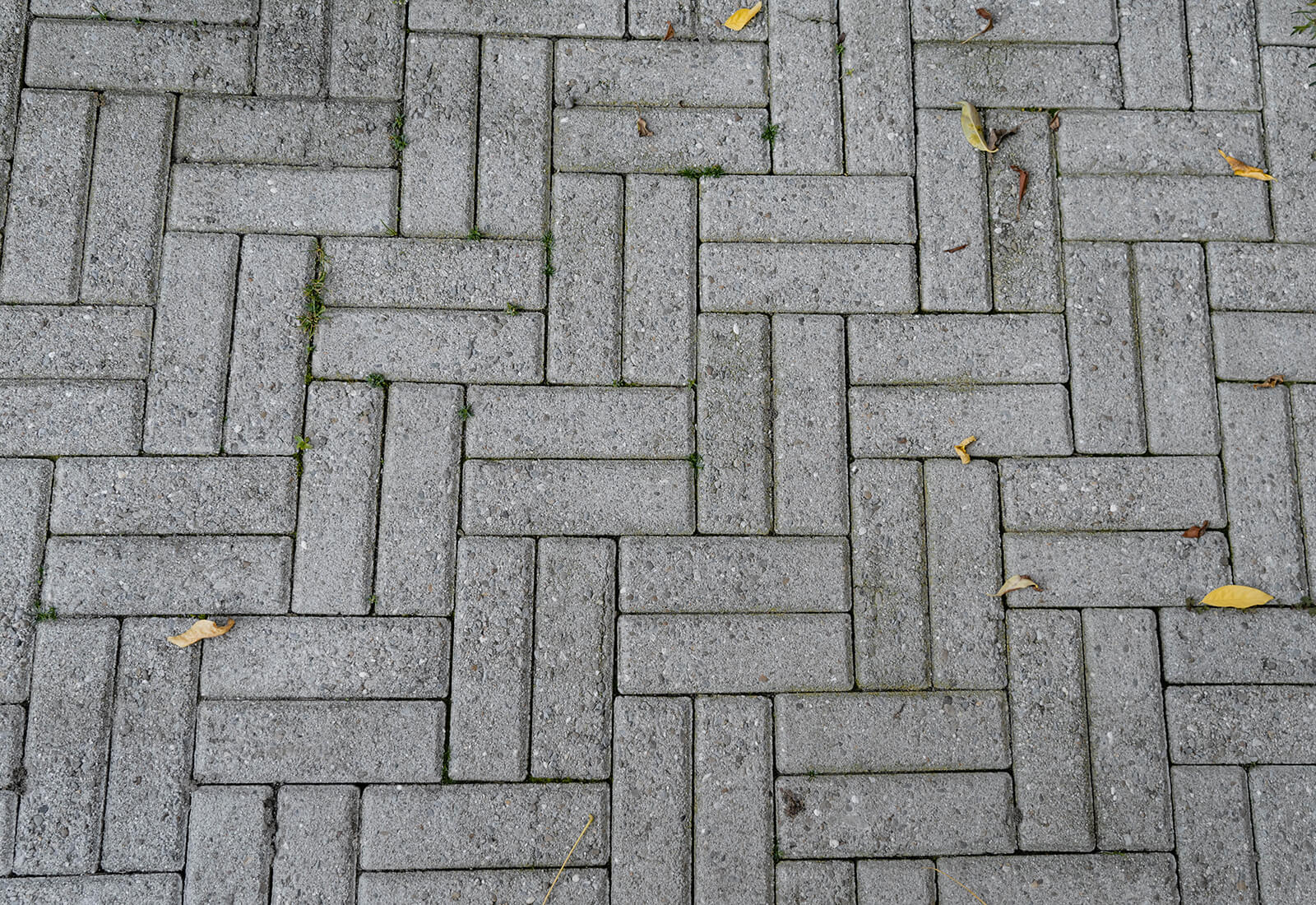 43-jährige Pflastersteine: Qualität, die überzeugt 
