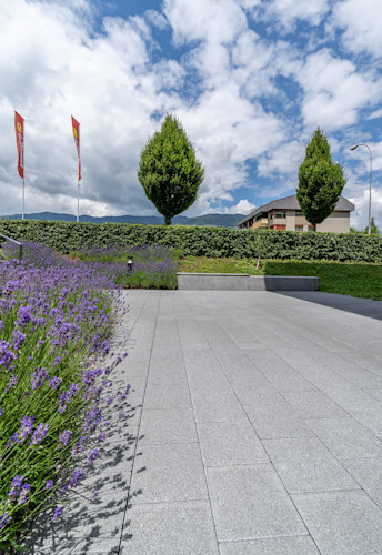 CARENA® Sickersteine fino gefast