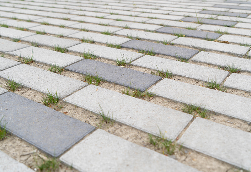 Gros plan sur des pavés gris clair et gris foncé, séparés par de larges joints dans lesquels pousse de l'herbe, afin de permettre une infiltration naturelle de l'eau dans le sol.