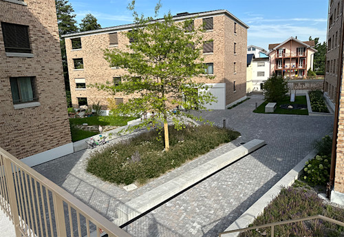 Cour intérieure du lotissement «Vivre sur la Sure» à Sursee